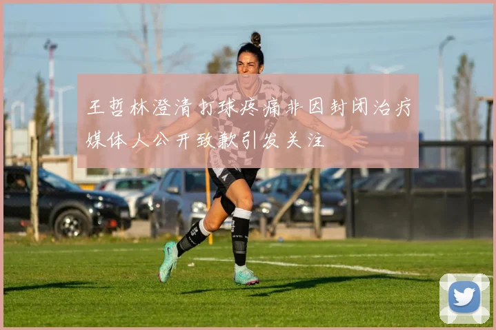 王哲林澄清打球疼痛非因封闭治疗媒体人公开致歉引发关注